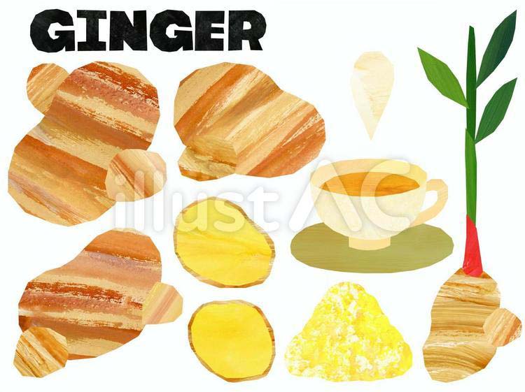 تويتر Nophy على تويتر 本日6月15日は 生姜の日 ですね 全国的に梅雨入り し 少し肌寒くなったのではないでしょうか 生姜湯を飲んで体を温めたりして 体調管理にはお気を付けください 生姜のイラストはこちらから無料でダウンロードできます T Co تويتر Nophy على تويتر 本日6月15日は 生姜の日 ですね 全国的に梅雨入り し 少し肌寒くなったのではないでしょうか 生姜湯を飲んで体を温めたりして 体調管理にはお気を付けください 生姜のイラストはこちらから無料でダウンロードできます T Co