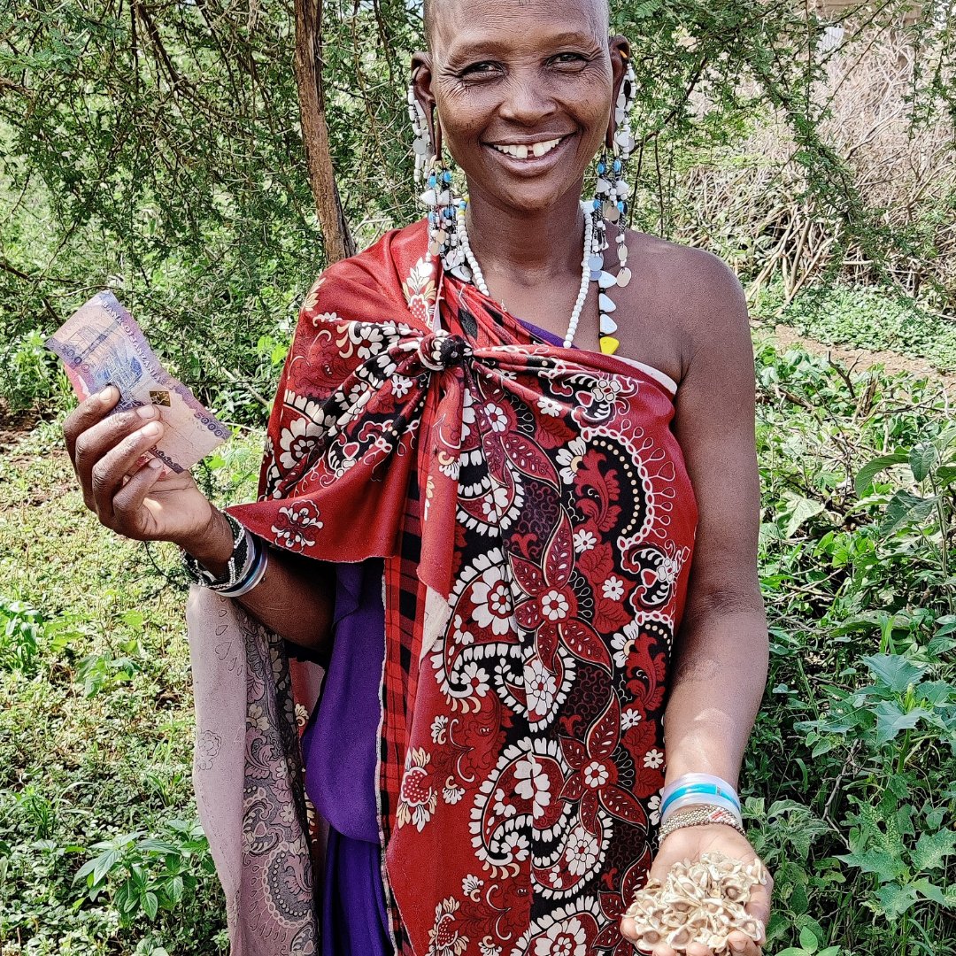 StrongHarvest's tweet photo. Esta, in rural Tanzania, greatly values her moringa trees because they bring her family good health, and also income through the sale of moringa powder and seeds.
Read about moringa's economic benefits: https://t.co/5y6m6FGRvo
#PartoftheCommunity #MoringaIsLife #StrongHarvest https://t.co/fRVZcJP5vQ