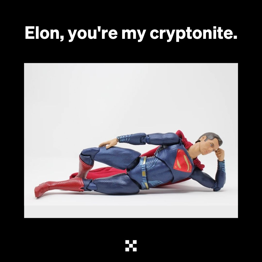 <a href="/elonmusk/">Elon Musk</a> Are you coming back to #crypto?