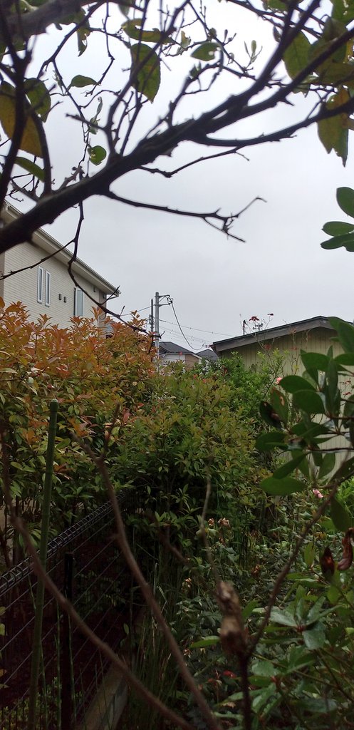 jp_hirota's tweet photo. 本日は、臨時休業でございます🙇雨がシトシト降る水曜日…。先週末から~働き詰めでした…。寒いので、体調管理に注意してくださいませ🙇皆様も安全にお過ごしくださいませ🙏#ベンガルカレーファクトリー #臨時休業 #temporaryclosed https://t.co/sJRCYIIUZ3