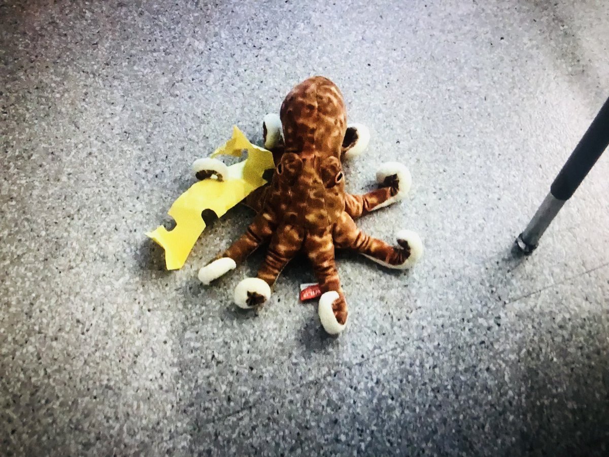 littlephz's tweet photo. Gr1’s @GuardianASchool shared their stop motion videos about Inky the octopus! This stuffy helped teach these students how they are all connected to the ocean. Small hands can make a BIG difference! 💦💗@Explorer1mprint @NatGeoEducation @CCSD_edu @kevindeforge @JonathaLauren https://t.co/CjUV3k4afy