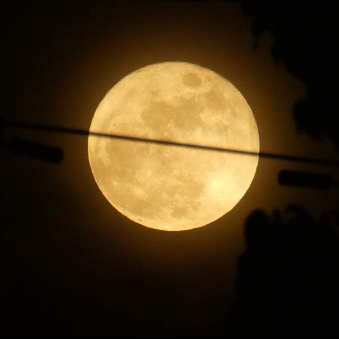 LykaSy8's tweet photo. Be the moon and inspire people,  even when you're far from full. 
- K. Tolnoe  
I'm not a professional photographer, but this photo deserves to be flexed. I can't believe I took a beautiful shot of the moon. I'm so in love. #moon #beautiful #stunning https://t.co/wKKDJdjHT1