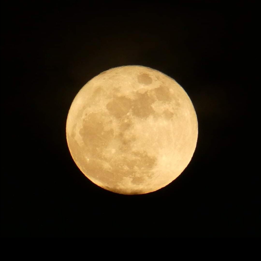 LykaSy8's tweet photo. Be the moon and inspire people,  even when you're far from full. 
- K. Tolnoe  
I'm not a professional photographer, but this photo deserves to be flexed. I can't believe I took a beautiful shot of the moon. I'm so in love. #moon #beautiful #stunning https://t.co/wKKDJdjHT1