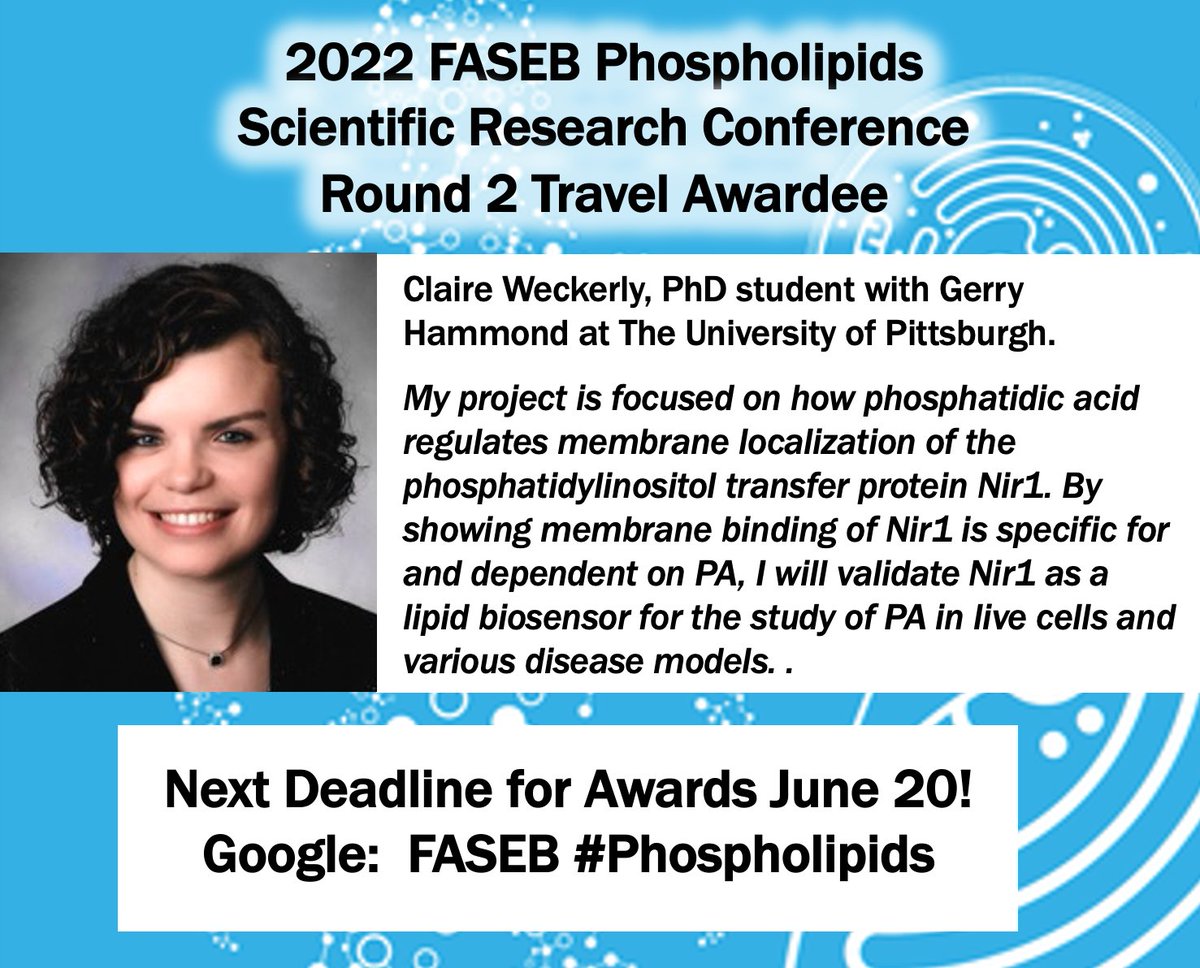 The Blind Lab tweet media