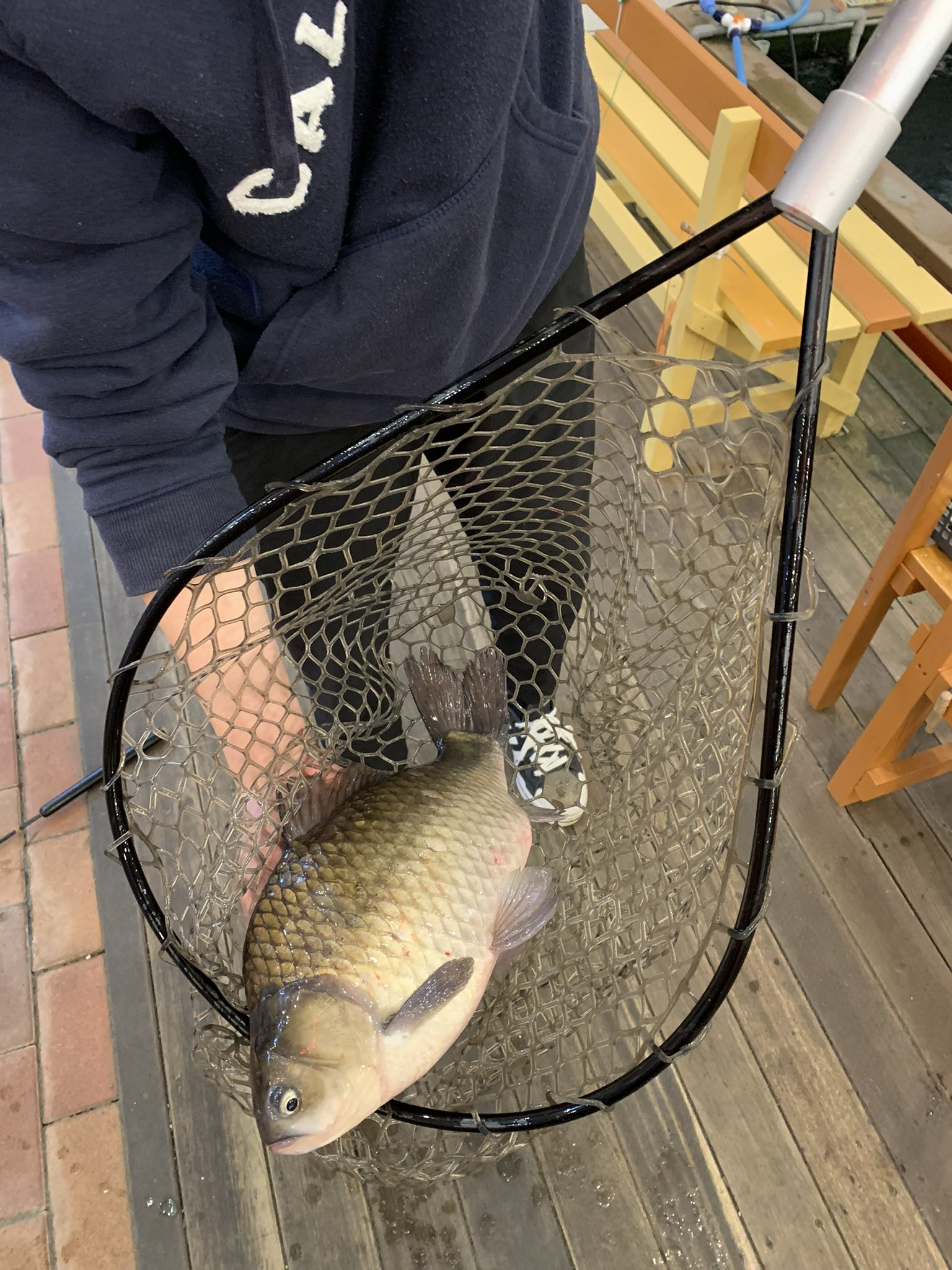 フランセ様専用 アピア グランデージXD 106ps1 GRANDAGE ATLAS | APIA