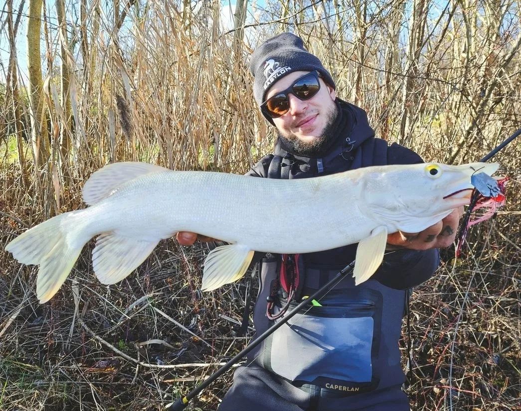 Albino Pike