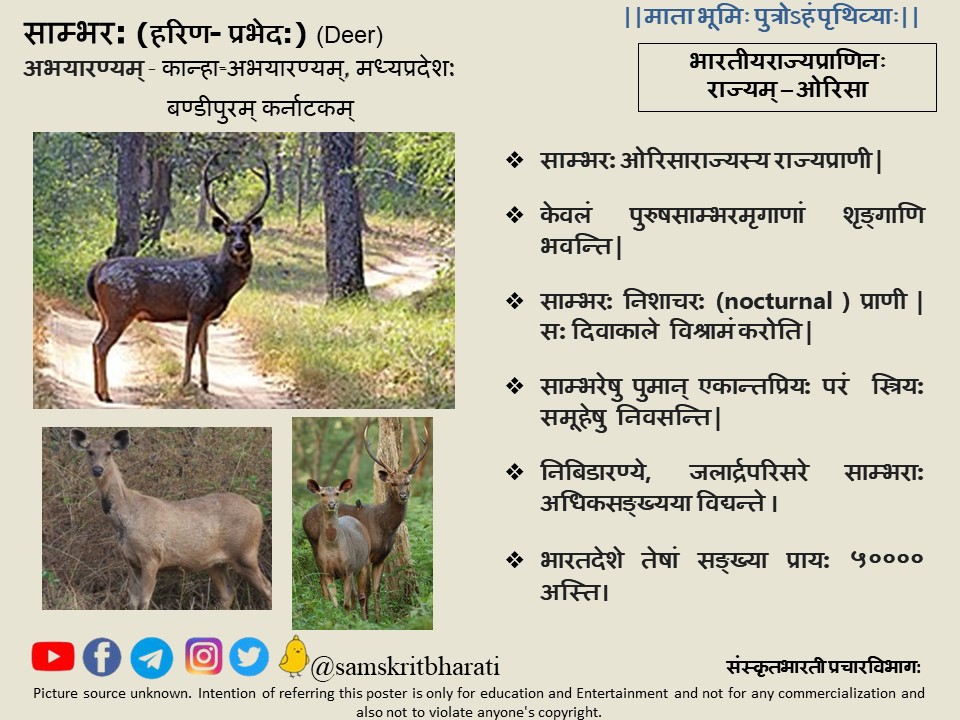 Samskrita Bharati tweet media