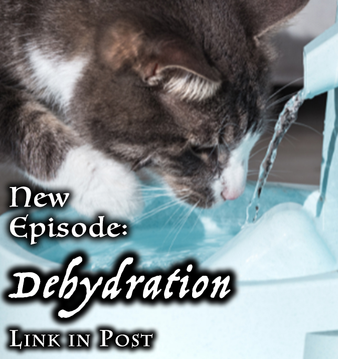 KittenKPod's tweet photo. https://t.co/mn8fUORx97

Next, we look at #dehydration in #cats. It may not seem like a big deal, but it can escalate very quickly, so you'll want to know the signs. We'll discuss that, why it happens, and how to prevent it. #podcastlift #podcast https://t.co/XRMNhWnoza