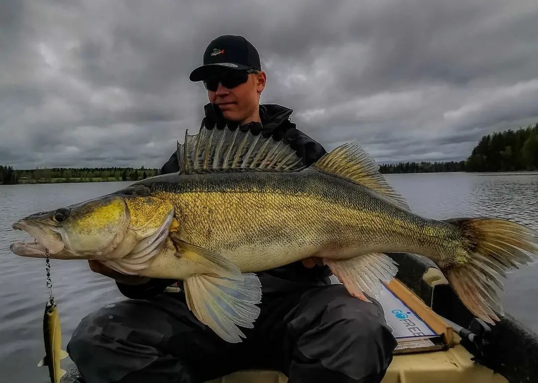 FISHINGBASSEMP's tweet photo. Guess this fish 🐟
.
#fish #fishing https://t.co/Wz4vp2eTv6