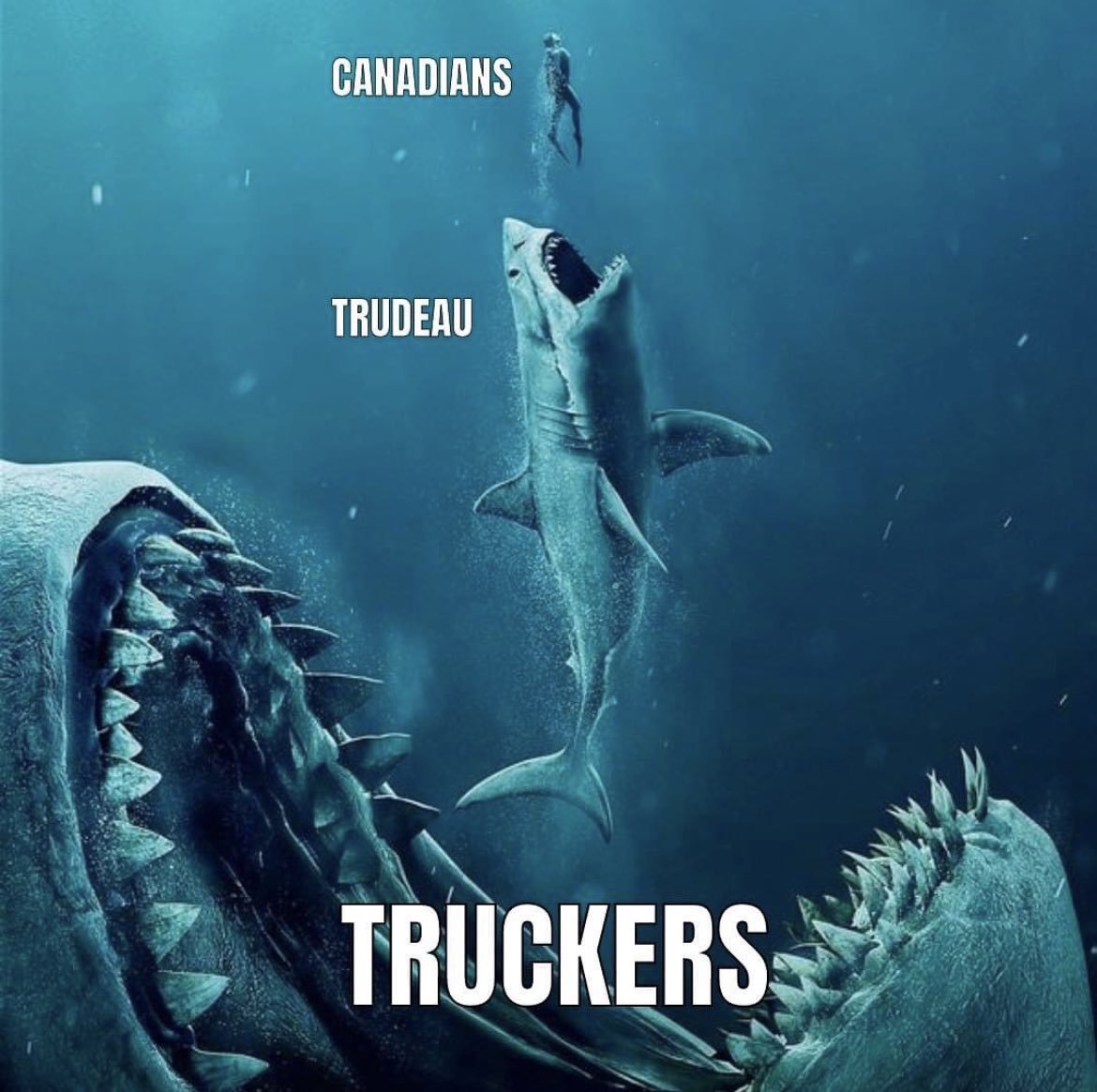 💥BOOM💥Lets never forget The Truckers for Freedom!💯✔ THANK A TRUCKER!✔💯🚛

#TrudeauIsDestroyingCanada 
#TruckersConvoy❤💯👍🚛