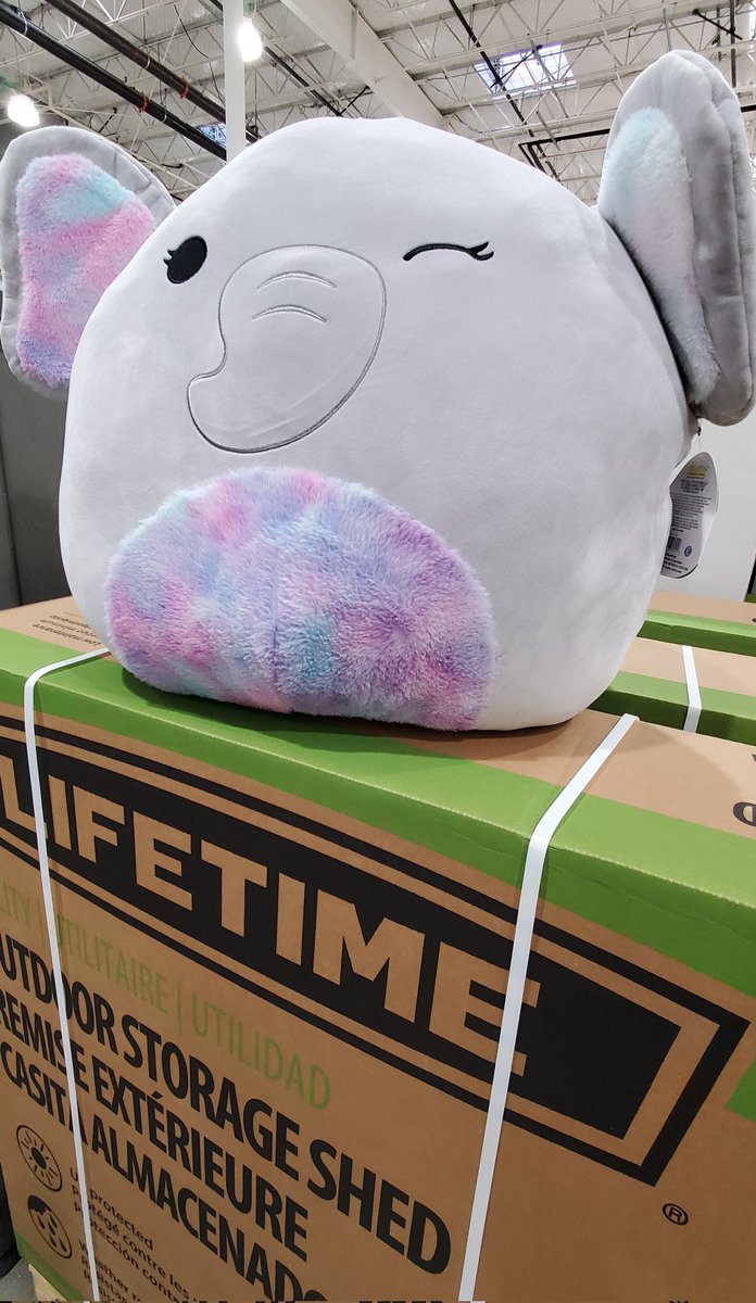 Dear <a href="/rippleitinNZ/">RippleitinNZ</a>,

How are you doing these days?

We think of you.

Even when we don't see squishy loveable plushies.

Your 📸/📹's have been a 🎁 to the #xrplcommunity #XRPCommunity #XRPArmy #Coinbase #USDT #CelsiusNetwork #NoMercy #GreatReset