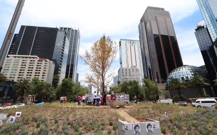 EugenioDerbez's tweet photo. No, no es el bosque de Sherwood, es el Ahuehuete seco de Reforma en la Ciudad de México. 

#SembrandoParques https://t.co/NfbCyP5wRb