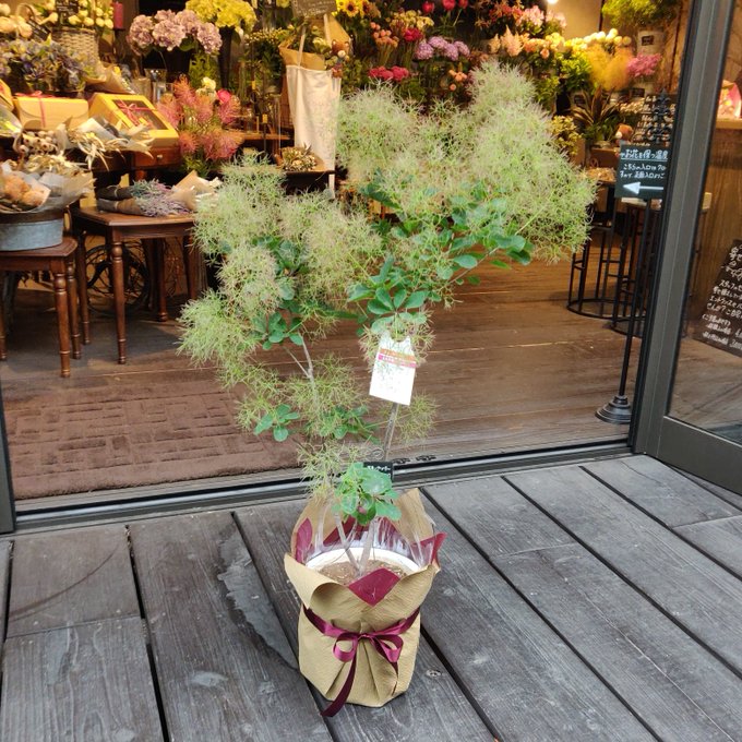 フォレスト デ フロリスト 福岡県宗像市のお花屋さん