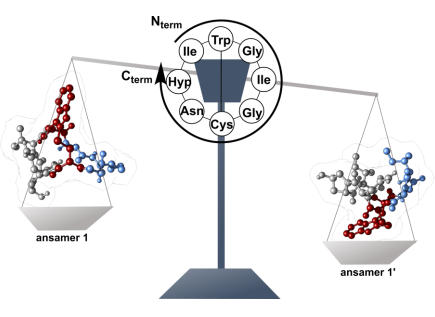 Suessmuth_Lab's tweet photo. Our journey with amanitin has not ended yet! We are happy to share our preprint about the occurrence of ansamers in the synthesis of cyclic peptides. @WenzMarius @BettinaGKeller @SimoneKosol @GuiyangY @ChemRxiv #amanitin #toxins #antibodydrugconjugates🍄

https://t.co/c1G041oRn7 https://t.co/Nb28rG9iCj