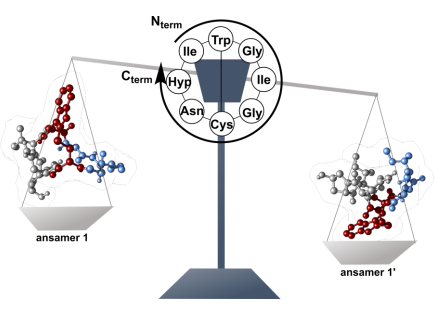 Our journey with amanitin has not ended yet! We are happy to share our preprint about the occurrence of ansamers in the synthesis of cyclic peptides. @WenzMarius @BettinaGKeller @SimoneKosol @GuiyangY @ChemRxiv #amanitin #toxins #antibodydrugconjugates🍄

chemrxiv.org/engage/chemrxi…