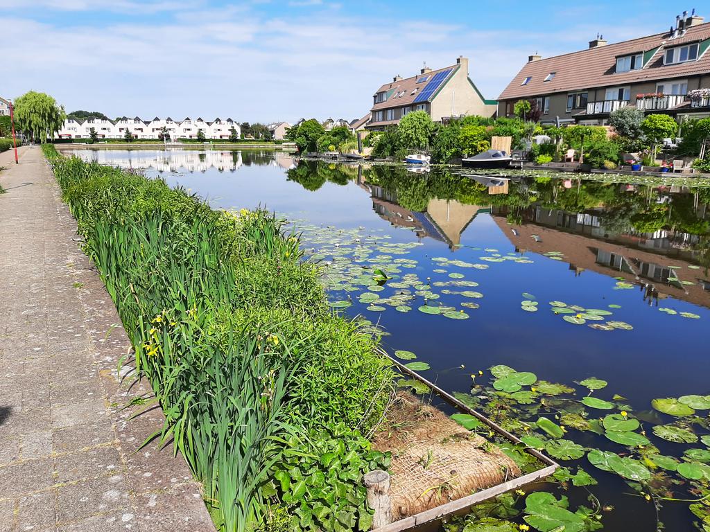 ecoloog079 tweet media