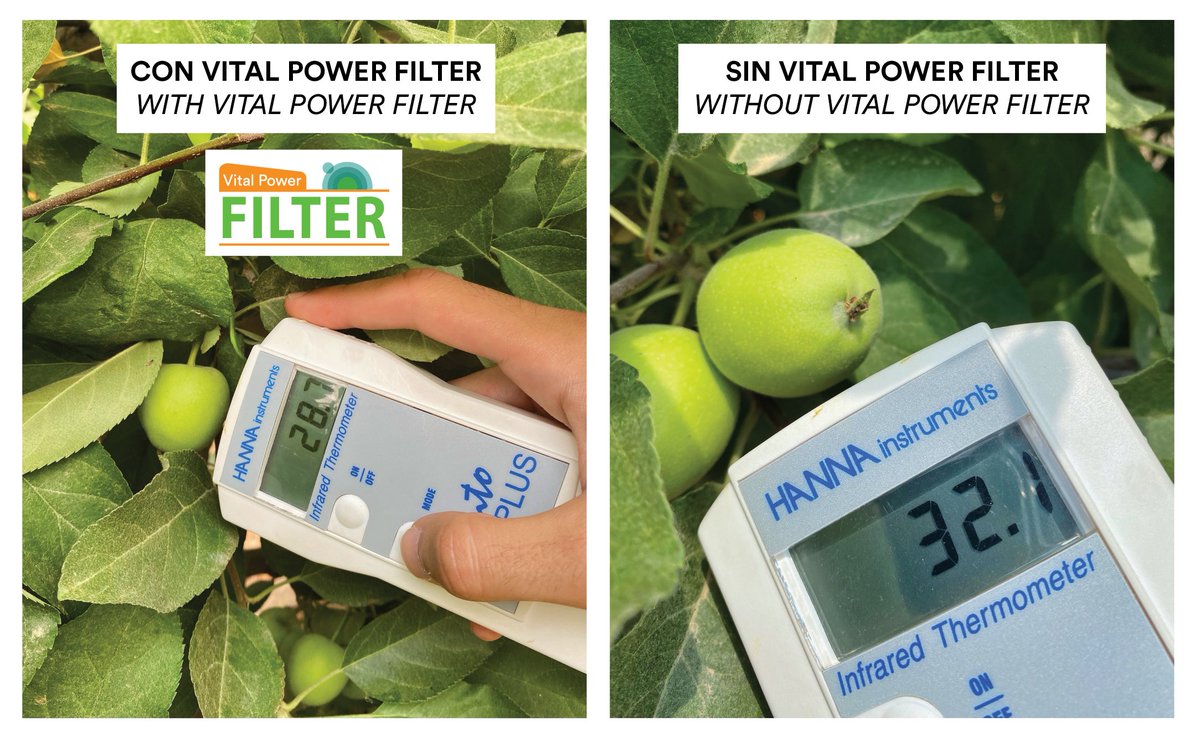 Zoberbac's tweet photo. ☀️🍏 La radiación solar provoca muchísimas pérdidas en la fruticultura mundial. Además de importantes problemas fisiológicos, el calor y la radiación excesiva reducen la calidad comercial de la fruta y el rendimiento de los cultivos. #zoberbac #protectorsolar #agricultura https://t.co/XJEBWg72nG