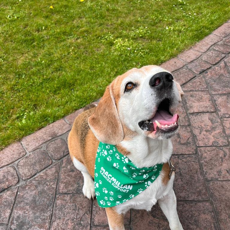 TalbotMedical's tweet photo. Last month our practice manager at Talbot, Stacey and her dog, Opie walked a 100k for Macmillan Cancer, raising £215 for research.

You can find out more about our practice and services here https://t.co/wwaK37B6gM https://t.co/ZxeYVCs6Hk