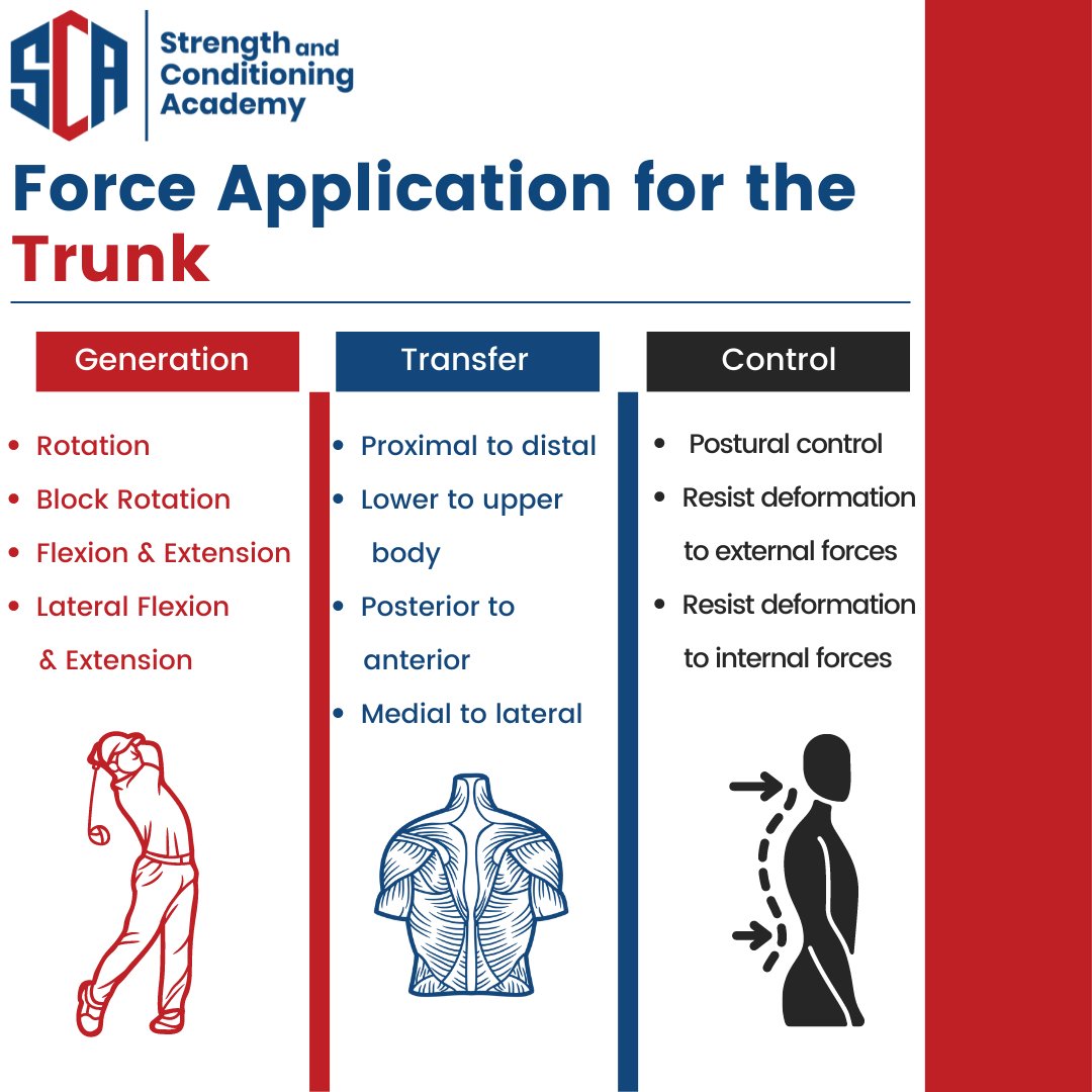 S_CAcademy's tweet photo. Today we provide several examples of force application the trunk can perform. #force #trunk #trunktraining https://t.co/MKqj0URUs1