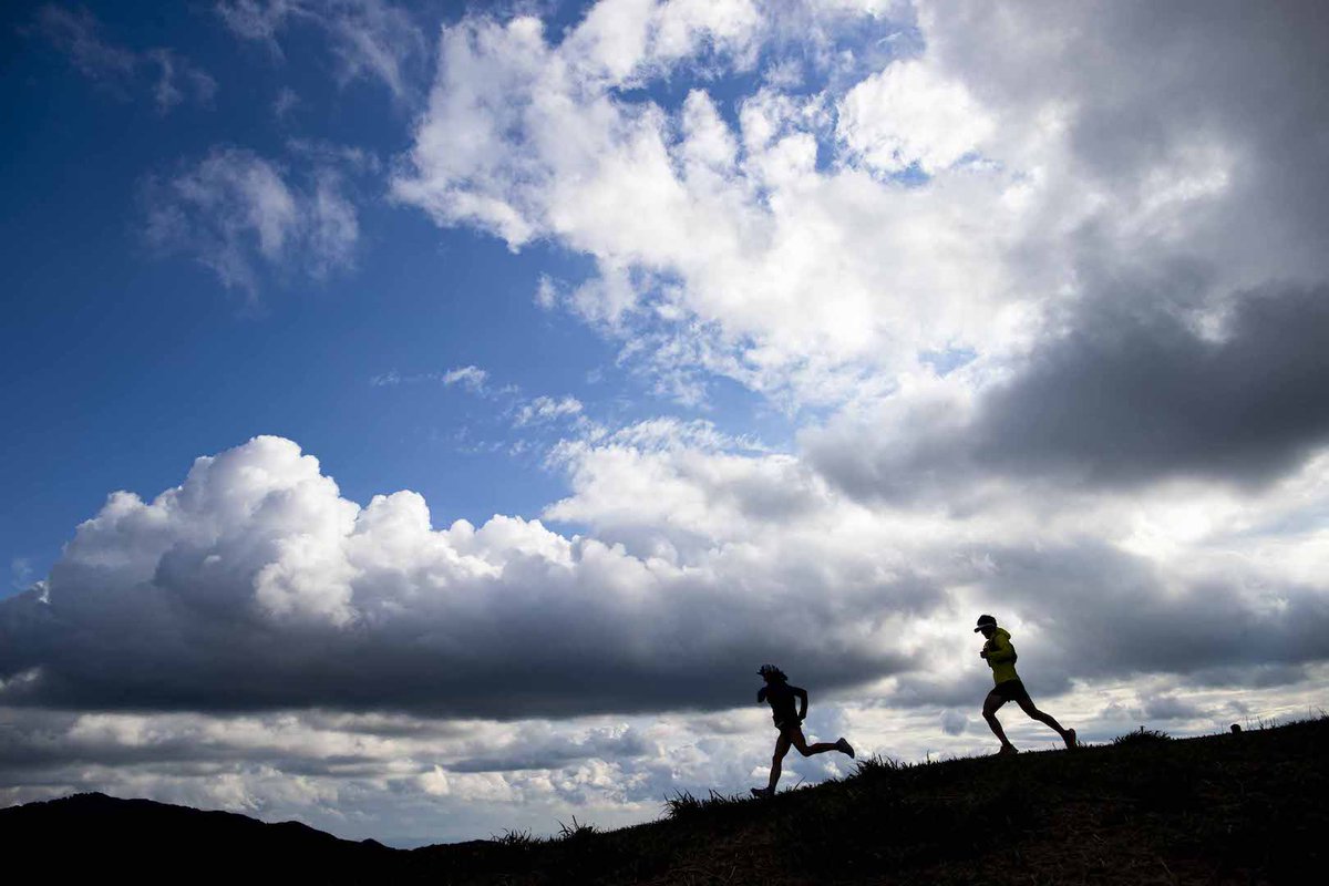 Tweets With Replies By Patagoniajp Patagoniajp Twitter