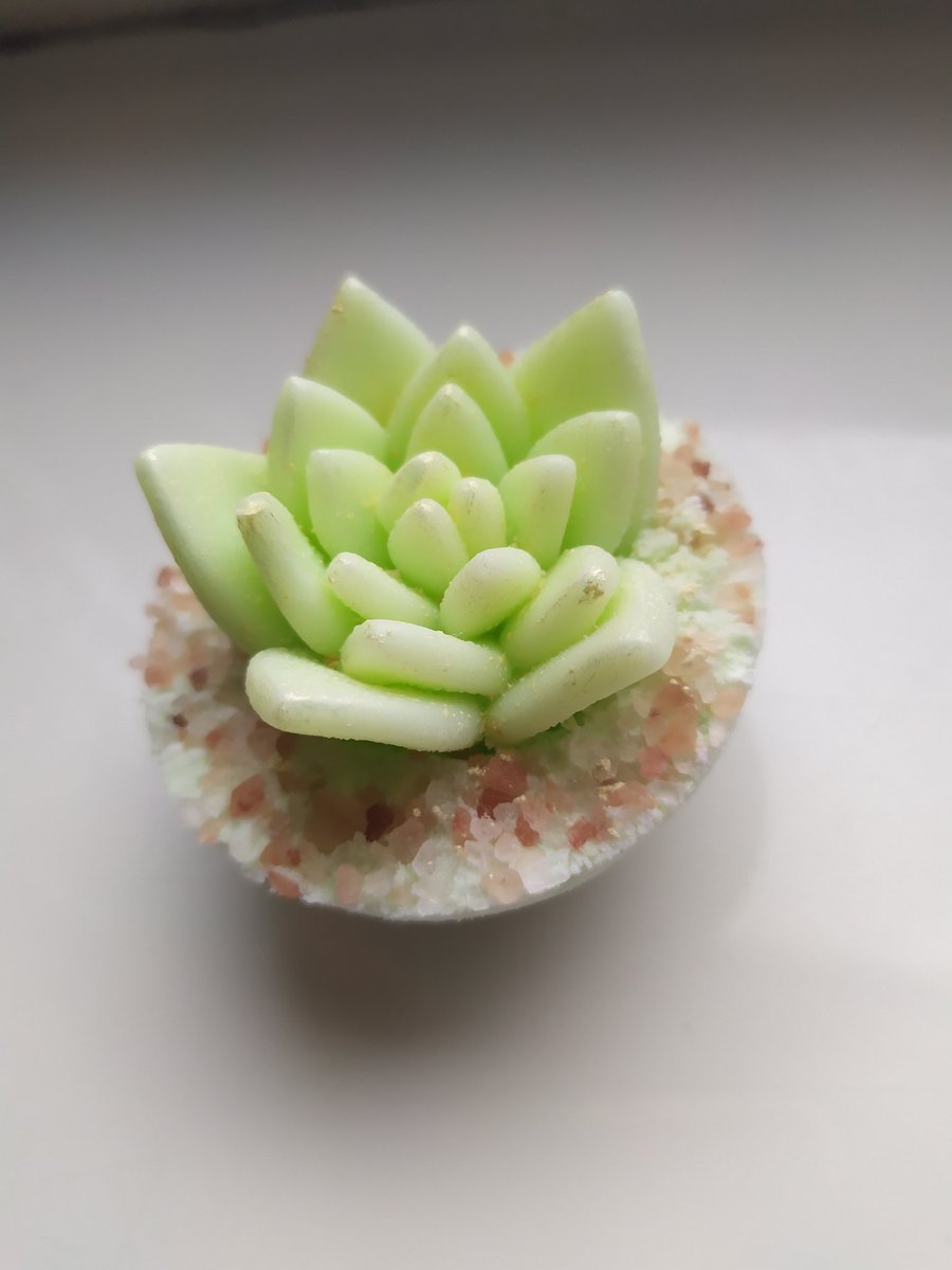 SolomiaHrytsyuk's tweet photo. Succulent bath bomb, decorated with soap and Himalayan salt. Have a nice bath! #bathbomb, #bathbombs, #bath_bomb, #bath_bombs, #bath_time , #бомбочки_для_ванни, #бомба_для_ванни , #бомбочкадляванни, #бомбидляванн https://t.co/QGgRkDXa39