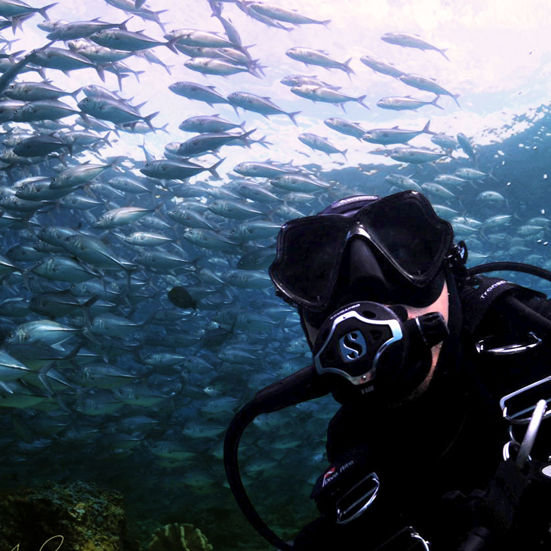 Borneo_Divers's tweet photo. Get certified and start exploring the beautiful and rich marine life of the Mabul &amp; Sipadan
For any inquiries
Email: reservations@borneodivers.com.my
Tel: 088-222 226 
Whatsapp : 
6012-880 1085 (Winnie) , 
6013-863 5360 (Claudene) , https://t.co/6DgKyhfkqn