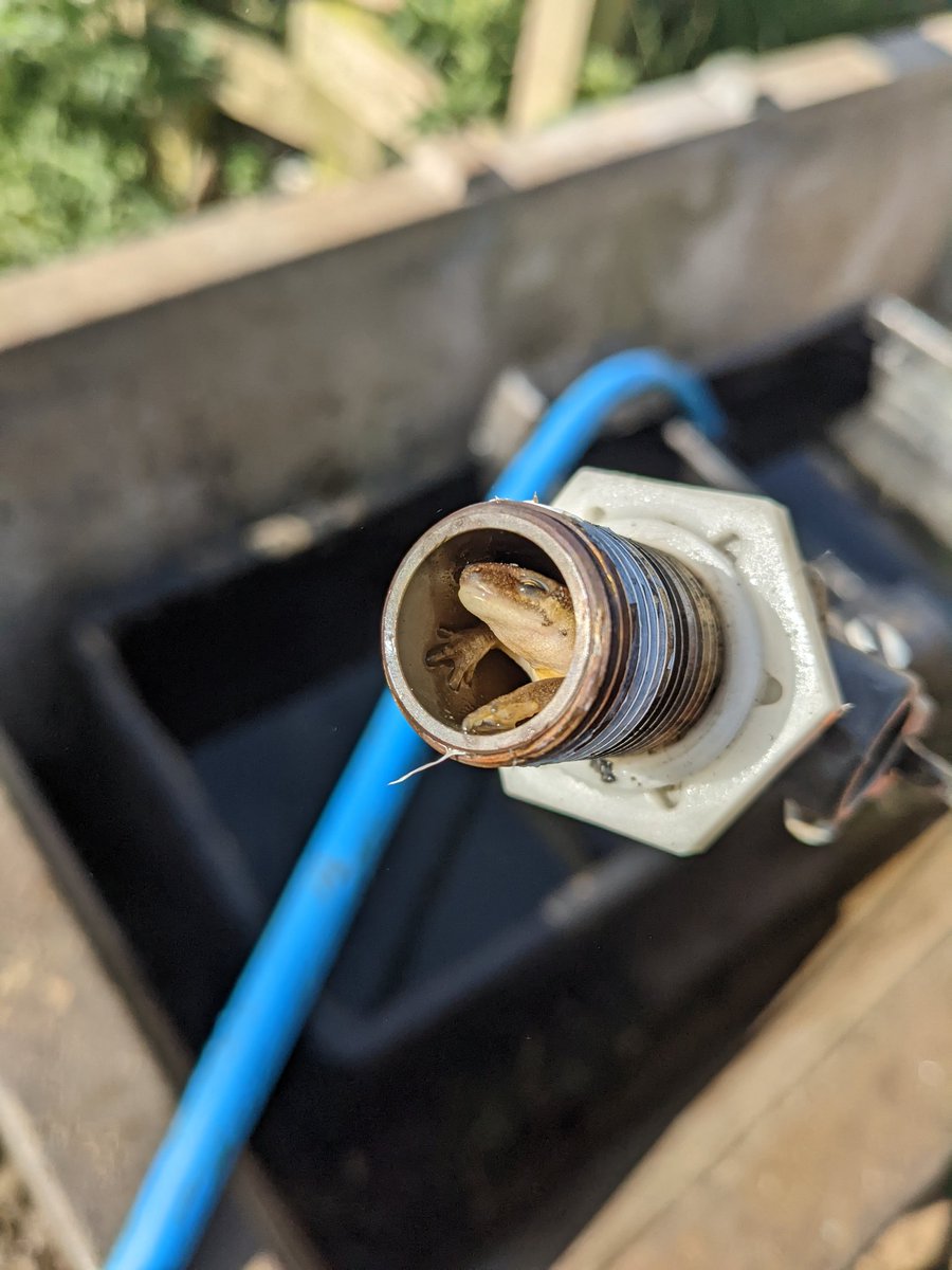 That's why there's no water!