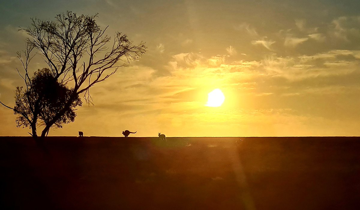 Scott Taylor tweet media