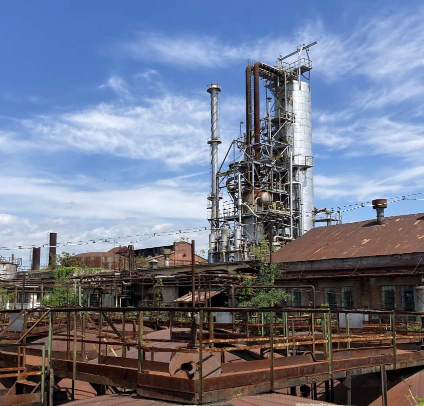 Daria Pirvu tweet media