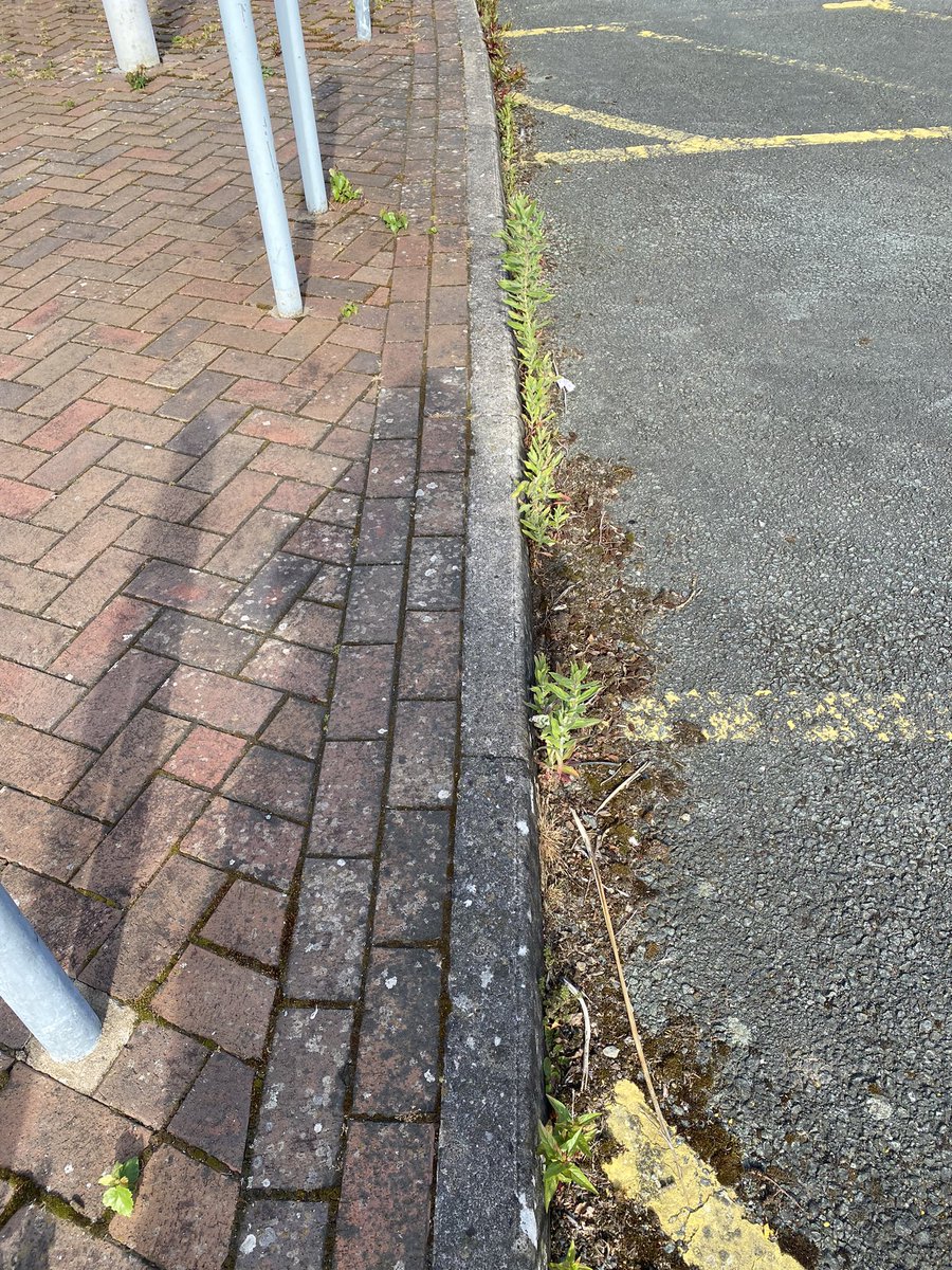 Thighs the Limit tweet media