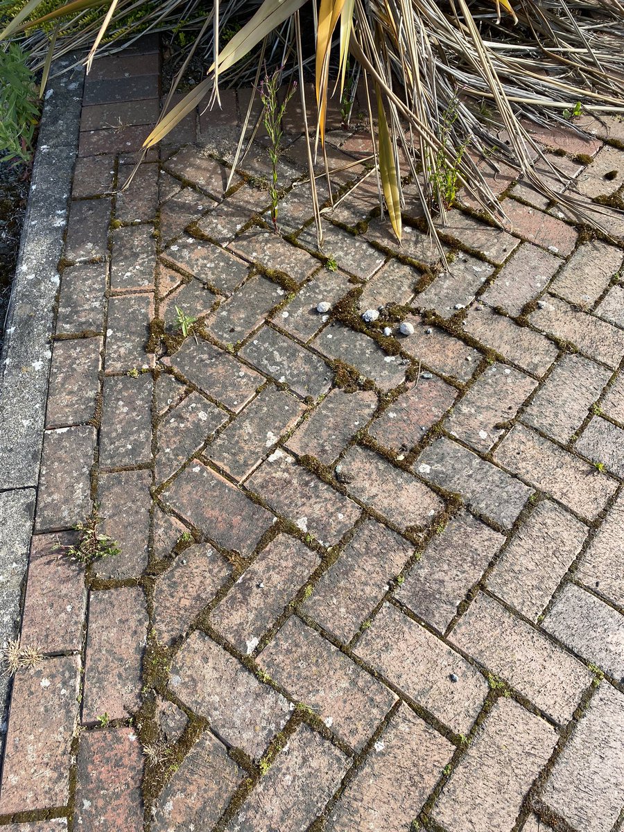 Thighs the Limit tweet media