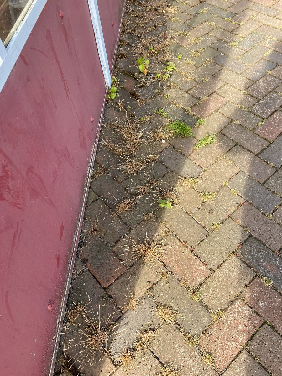 Thighs the Limit tweet media