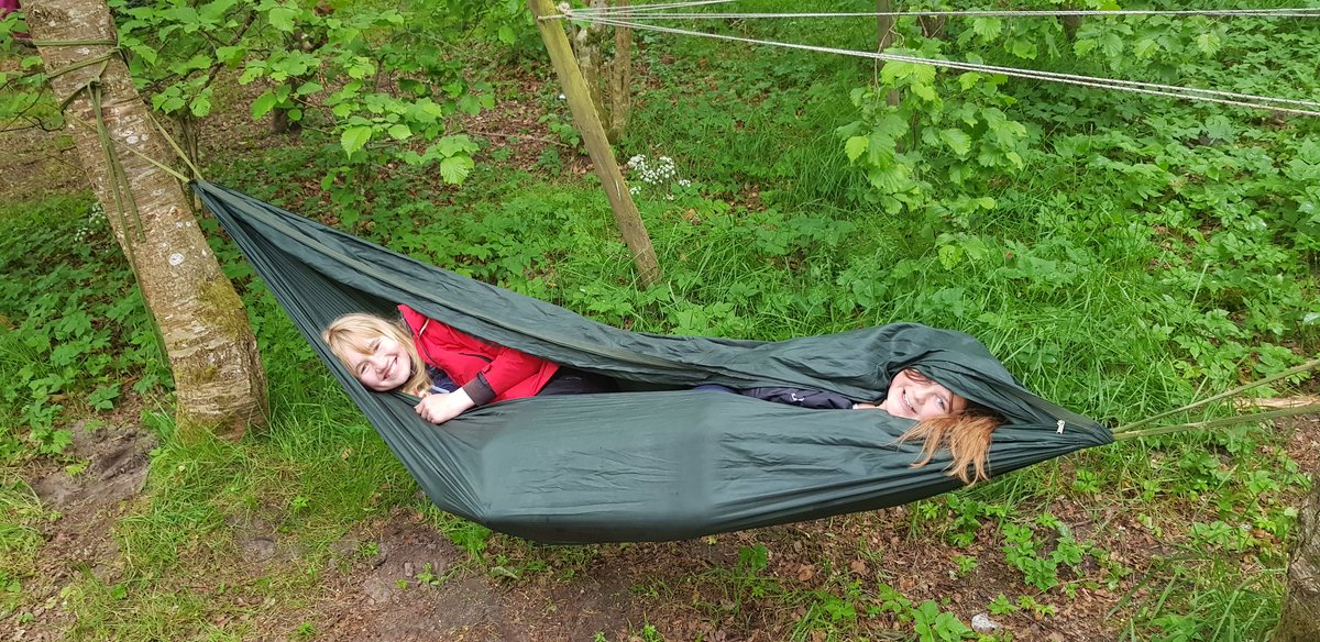 Johnshaven School tweet media