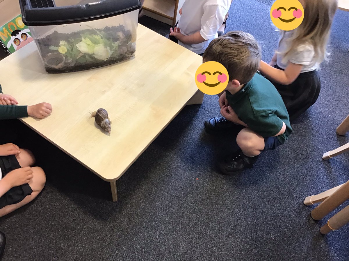 TGPS_NorthLincs's tweet photo. F1 have been learning about mini-beasts in the environment. Today we have Mrs Symonds Giant snails. We held them and watched them eat too. #TGPSF1 #TGPSEYFS @Psqm_HQ @priscigeeks https://t.co/mJ1MAvWYeu