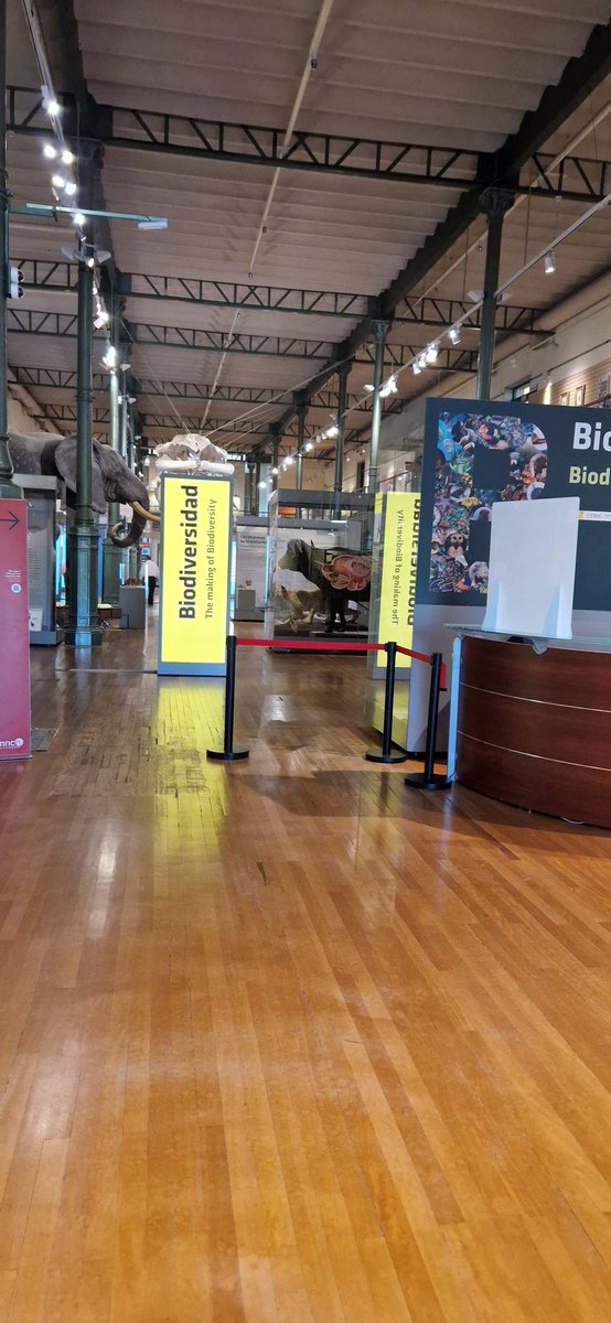 Ya estamos en el museo de ciencias naturales <a href="/HBSTORREJON/">Humanitas Torrejón</a>