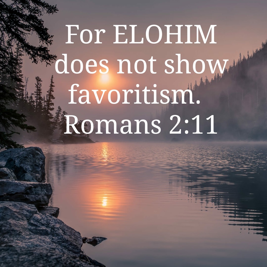 edgra4207's tweet photo. "One law is for you of the assembly and for the stranger who sojourns with you – a law forever throughout your generations. As you are, so is the stranger before יהוה (YHWH).
#Numbers15:15 #Bible 

For ELOHIM does not show favoritism.
#Romans2:11 https://t.co/Juwod0H0X6