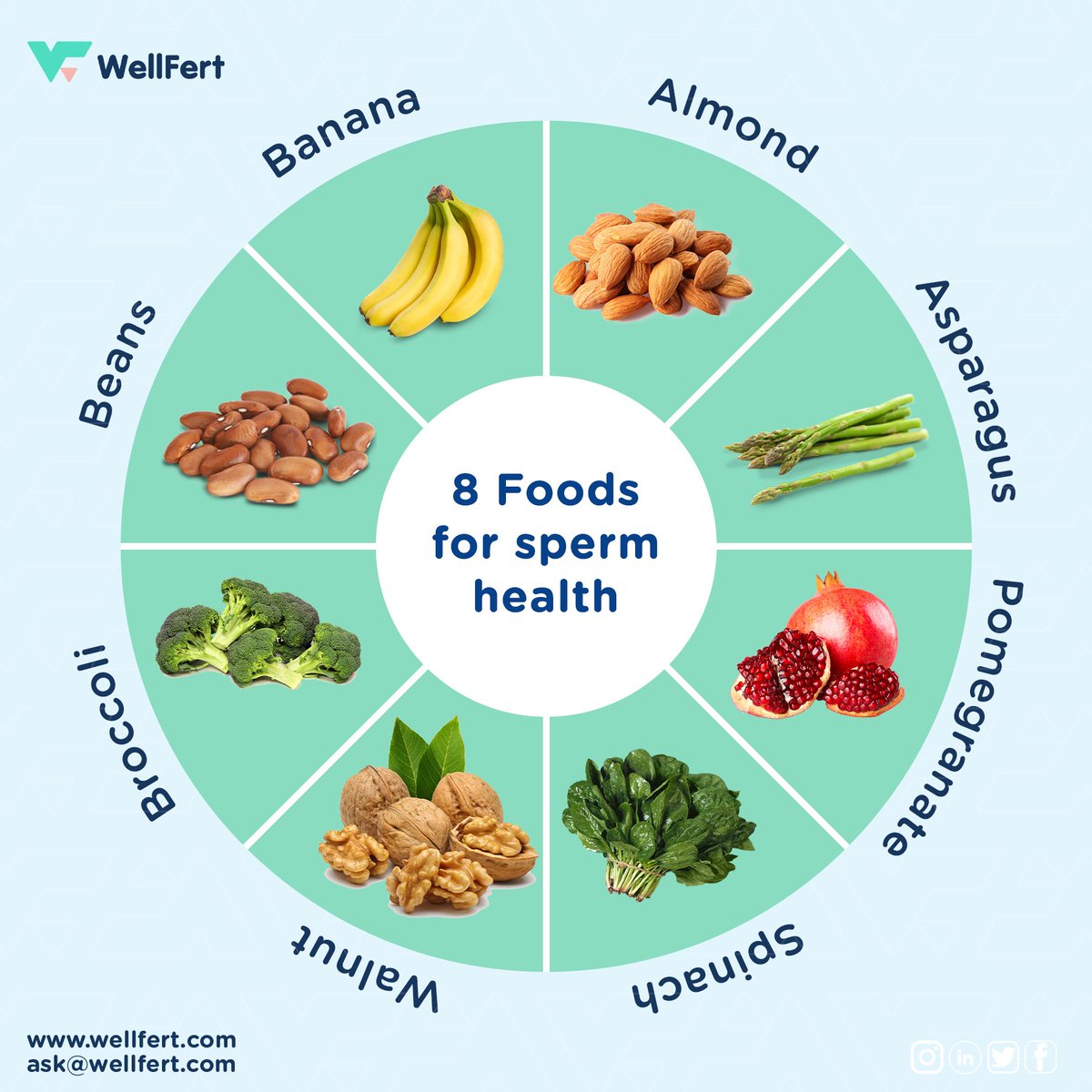 For the men 👨👨‍🦱
.
.
.
.
.
.
.
.
Don't forget to SAVE, LIKE and RETWEET ❤️❤️
#hormonalimbalance #fertilitydetox #ttc #eathealthy #infertilityawareness #miscarriage #fertilityjourney #health #sperm #infertility #fertility #wellfert #wellness #wfcommunity #explorepage #ownyourstory