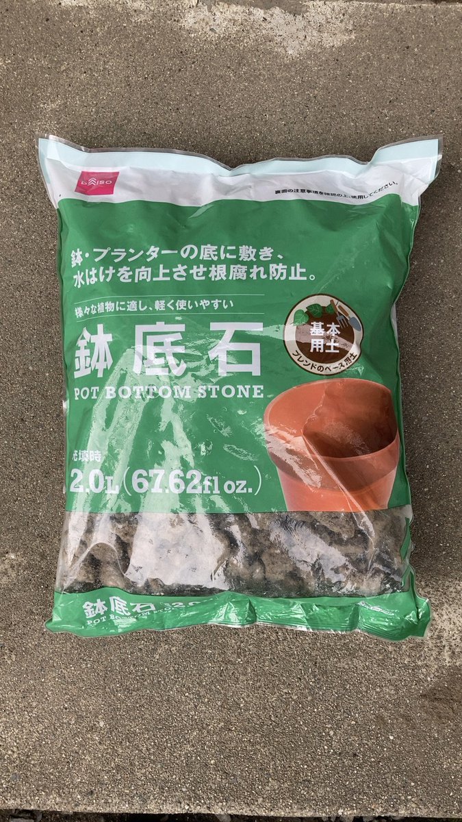 鉢底石 Twitter Search Twitter 鉢底石 Twitter Search Twitter