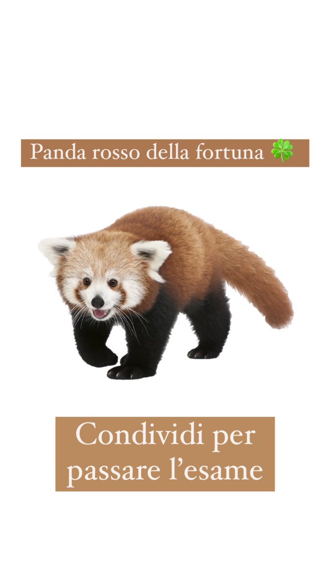 hiimhere1898's tweet photo. Panda rosso portami fortuna per domani🍀 https://t.co/W5xfpNEEp6