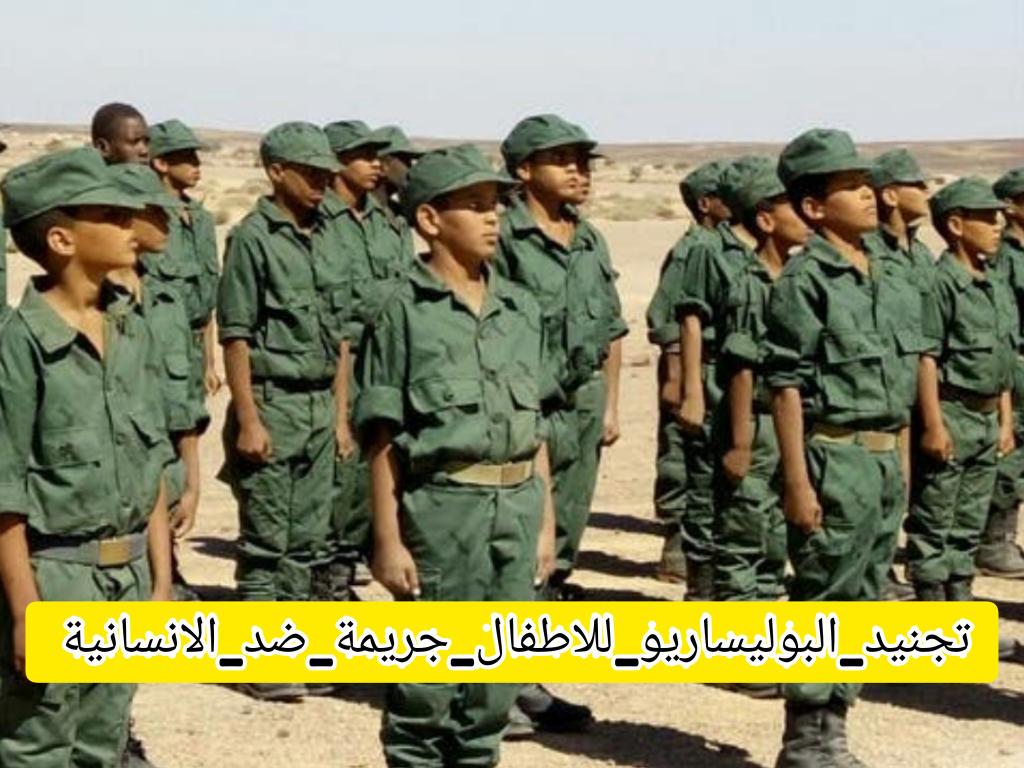 القالب المغربي⁦🇲🇦⁩ tweet media