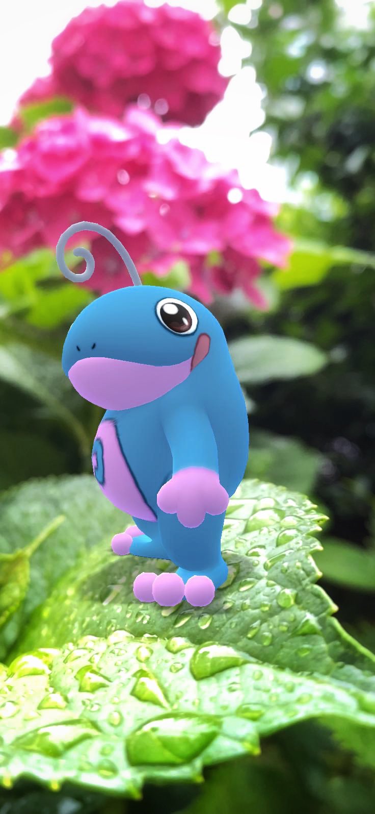 まっと Matt ポケモンgo 難波 Mattpokego Twitter