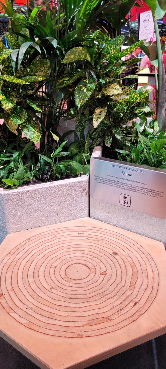 Toujours avec <a href="/BiooOfficial/">Bioo</a> sur le #LowCarbonPark 
🌿💡Ici, l'environnement naturel est utilisé pour alimenter les interupteurs biologiques en utilisant des micro-organismes naturels pour décomposer les molécules organiques du sol et générer un courant ⚡️
#Vivatech #biotech