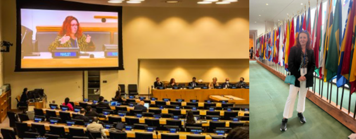 sustuntech's tweet photo. #SusTunTech at United Nations meeting about ecosystem approach to #fisheries #Management  https://t.co/2MNHx8XW6M https://t.co/rIVSW1E0Vk