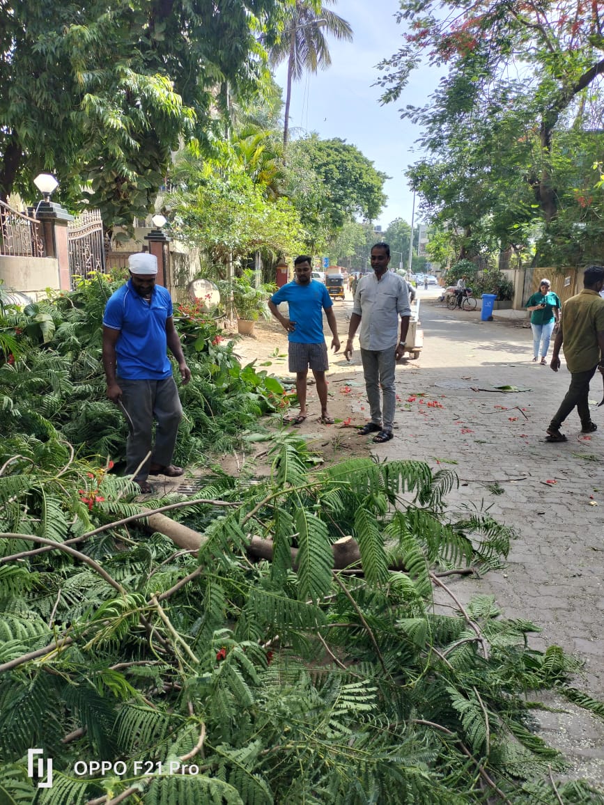 Bjp4Ward71's tweet photo. Under guidance of MLA @AmeetSatam  ji , Corporator Aneesh Naval Makwaaney  ji &amp;  team Bjp4ward73 (71)  visited at Juhu Koliwada (H B Gawde marg)  inspected #TreeTrimming at various locations  in our ward 73 (71). https://t.co/Kc75XoRBQi