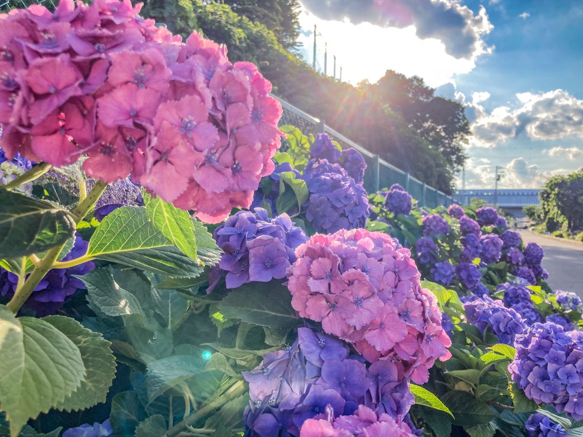 大学 日吉 口コミ 評判 最新情報まとめ 素敵な旅行 観光スポット情報がきっと見つかる ナウティスgo