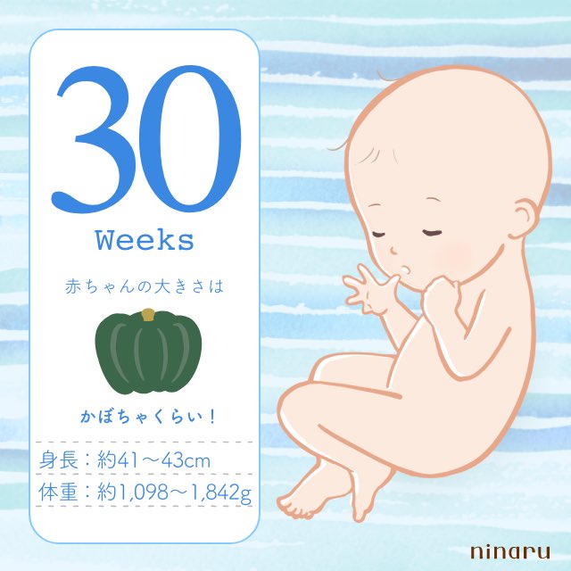 蒼月 陸 妊娠30週目突入 2週間ぶりの検診いてきました Babyの体重は１５１０ｇ 3000ｇまであと半分 ただまだ切迫早産の可能性はあるから 油断禁物 W また1週間後に 検診する事になった とりまbabyは 順調で良かったぁe ホッ