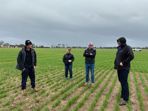 BoggaAg's tweet photo. Out and about in the Wimmera today talking #EasyN #Trigger and nitrogen management in cereals with the team from @IPFertilisers On farm talking agronomy and doing what we do best 😃 PS - make sure you call by Wycheproof Bakery 🥯 #SoilHealth https://t.co/25BgsxDfUu