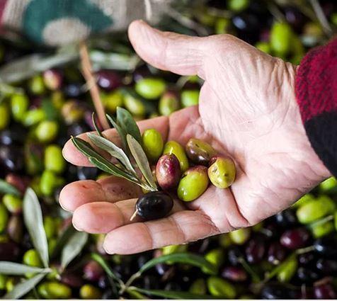 Journeesagri's tweet photo. L’appli @SucrineClub vous permet de trouver instantanément, en @Occitanie, des produits locaux et de saison à proximité de chez vous. Rencontrez une vingtaine de productrices et producteurs à l'origine de ces produits à l'occasion des #JNAgri.

👉 https://t.co/rJf5SQRLgl https://t.co/ve5MbQqnJb
