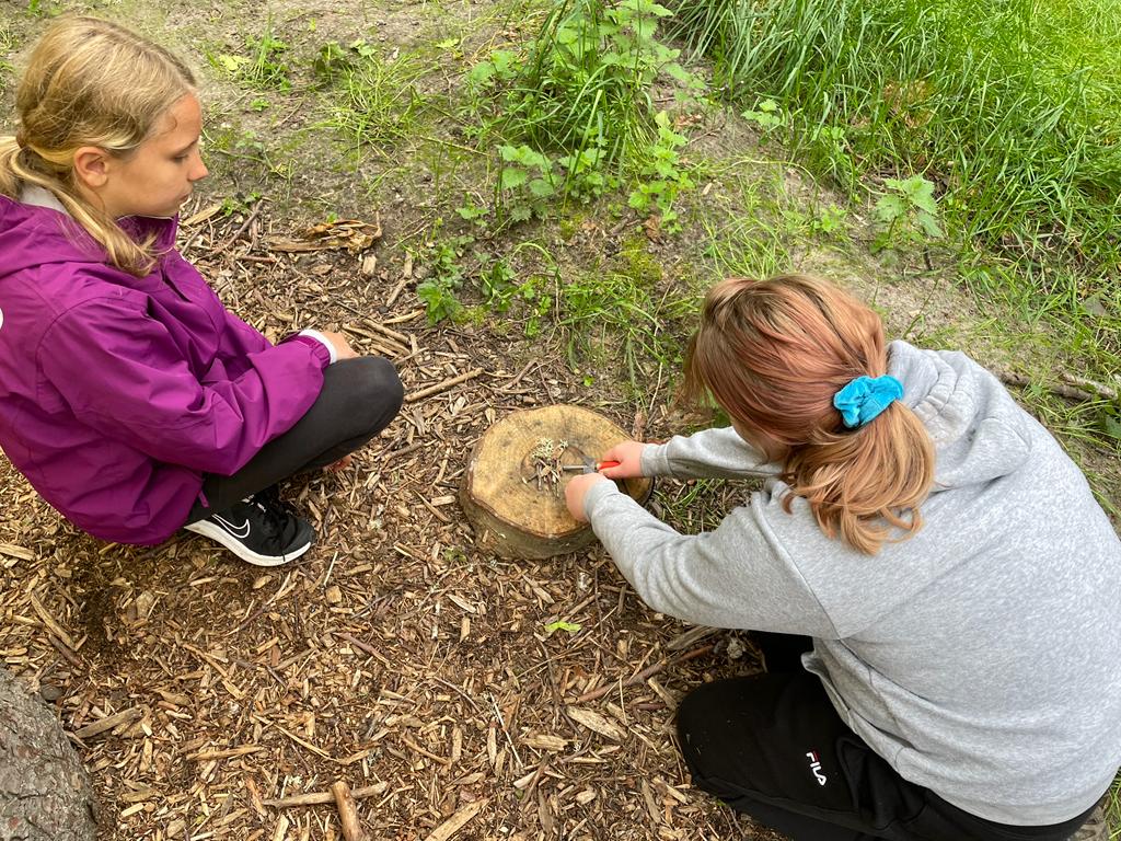 Johnshaven School tweet media