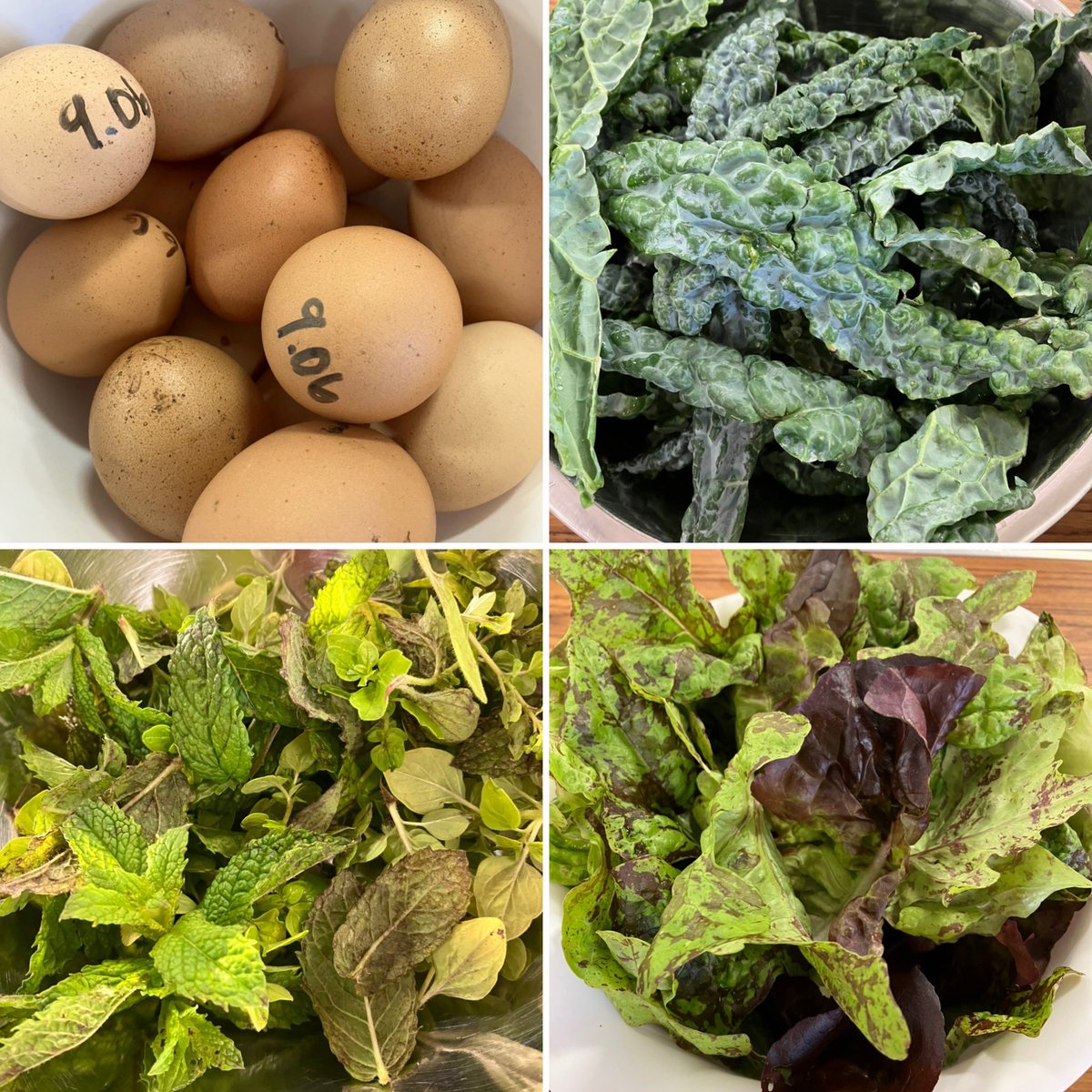 MunchCIC tweet media